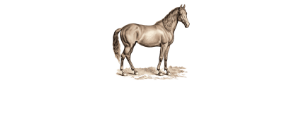 logo light